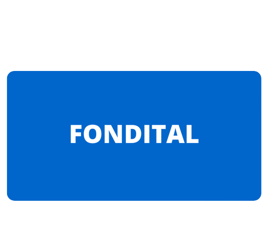 FONDITAL